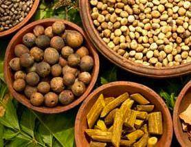 Ayurveda digitised to prevent bio-piracy