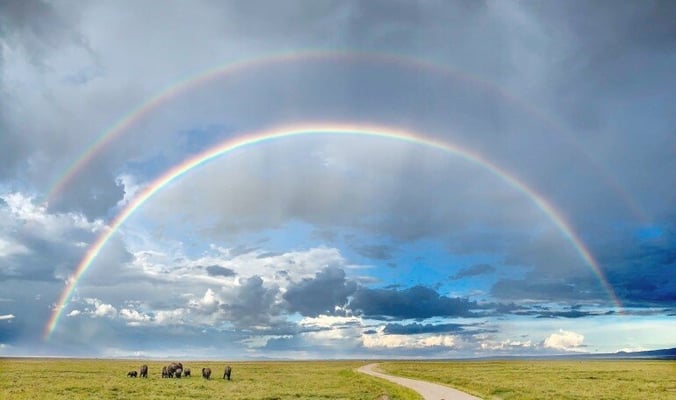 Tim Cook tweets stunning image taken by Indian photographer