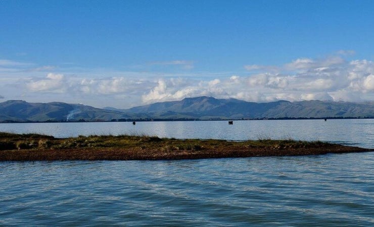 Student pilot from India dies in a light plane crash near Christchurch