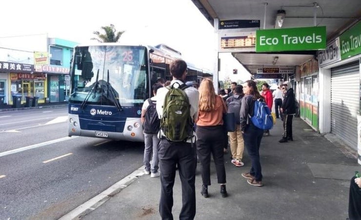 All Auckland bus services to resume from tomorrow morning