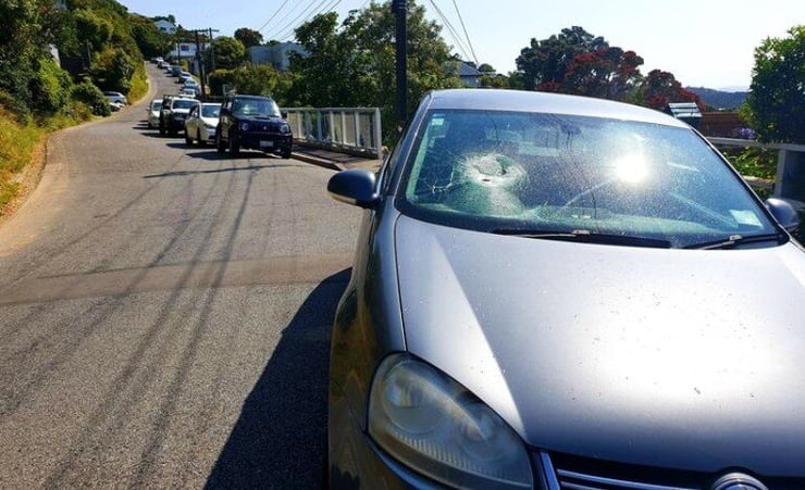 Wellington residents wake up to smashed windscreens