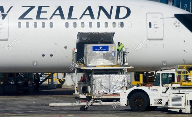 Government allocate up to $330 million keep air freight moving