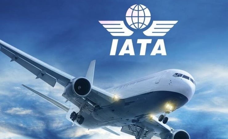 Over half of global airlines' passenger revenues at risk: IATA
