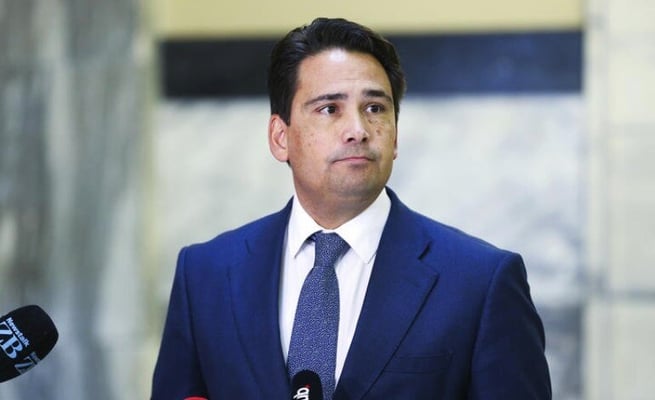 Simon Bridges' leadership questioned after missteps