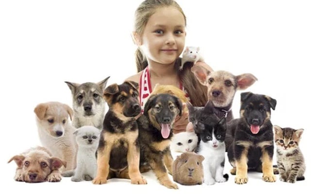 Pets may relieve stress for parents of kids with autism: Study