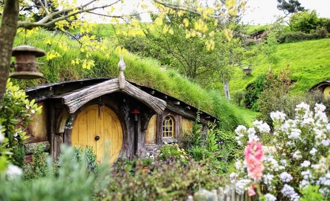 Tourism Operators Excited To Host Kiwis Again