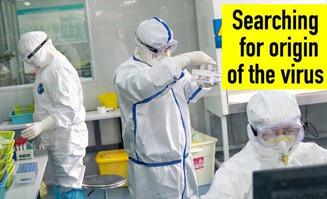 3 live coronaviruses in Wuhan lab don't match COVID-19: Report