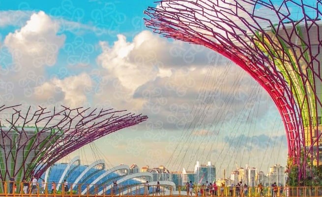 New Zealand’s recovery from COVID-19 will be tied to Asia’s recovery, reveals a new survey