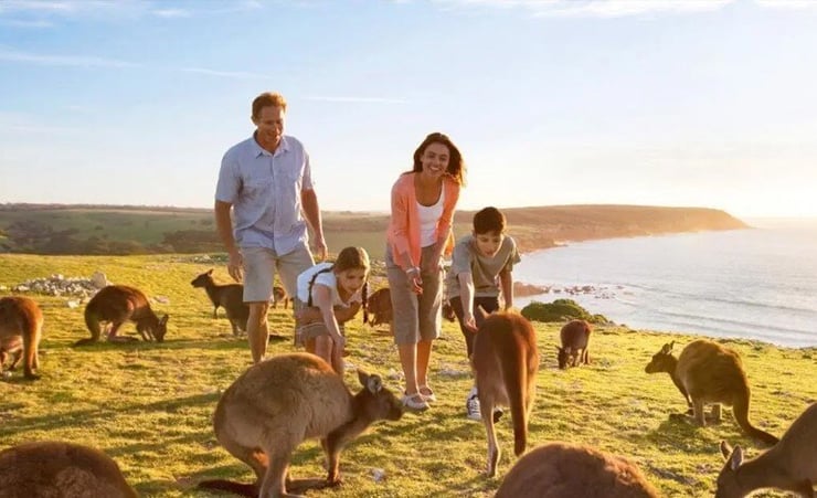 Australian tourism industry facing 40% downturn amid travel ban