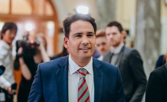 Simon Bridges makes a comeback in National caucus as Foreign Affairs spokesperson