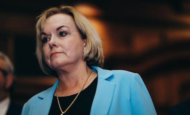 Judith Collins announces caucus reshuffle : Who got what?