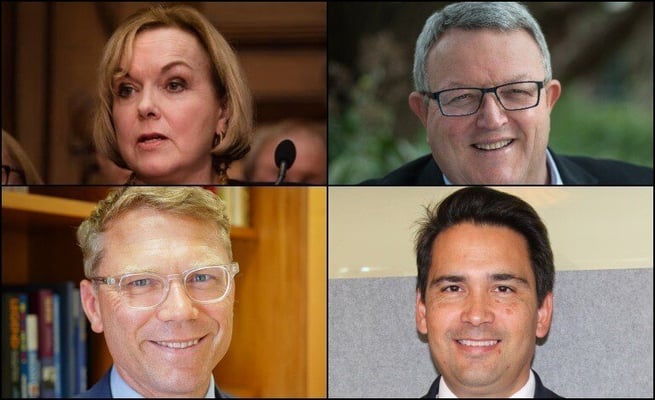 National's caucus Reshuffle: Judith Collins stamps authority
