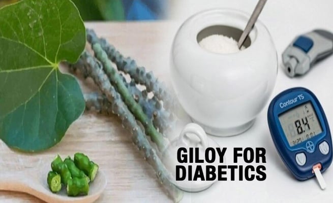 Giloy for diabetics: How it helps manage blood sugar