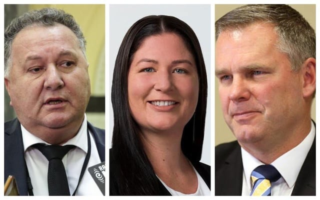 Shane Jones running distant third in critical seat, poll finds