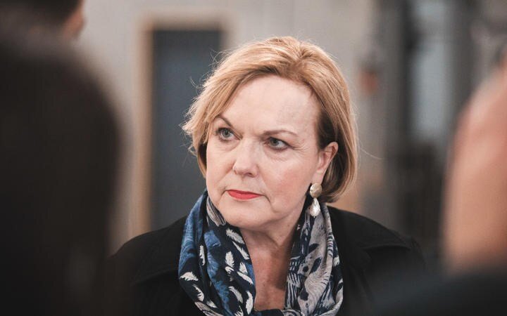 Judith Collins under pressure over policy on the fly