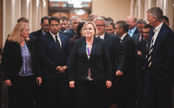 National Party post-election review to look at campaign and past three years in opposition