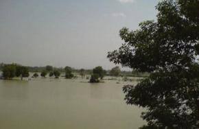 Flood warning: Yamuna flowing above danger level