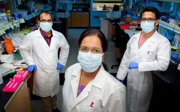 Indian-American scientists identify possible Covid-19 treatment