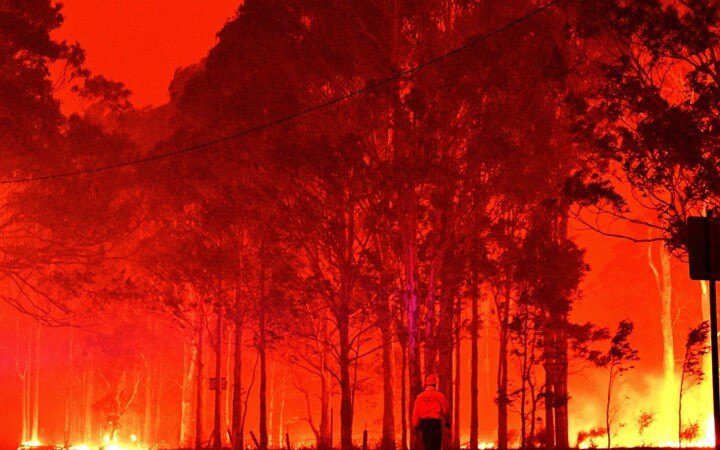 Australia's east coast on high alert for bushfire