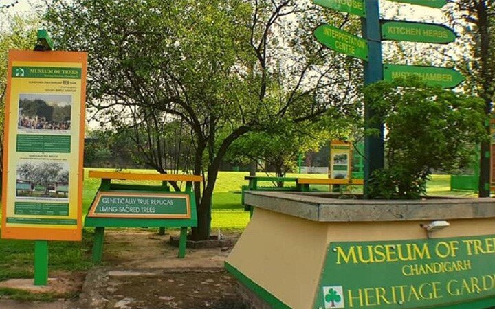 Chandigarh to get another landmark -- Museum of Trees