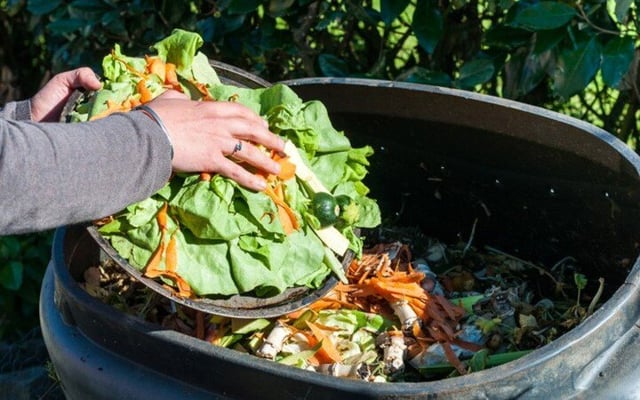 6 hacks to eat smart and cut down food waste