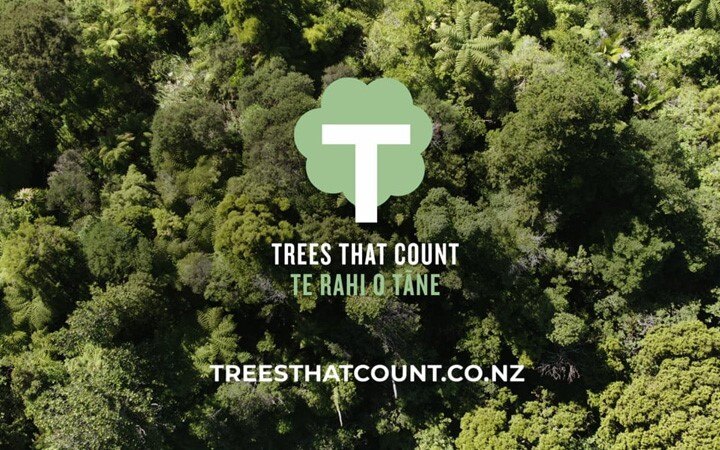 New Zealand helps turn 2020 disappointments into hope