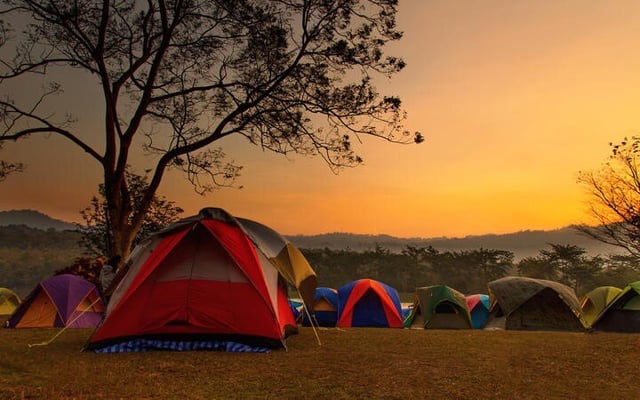 Covid showing little impact in Kiwi summer holiday plans