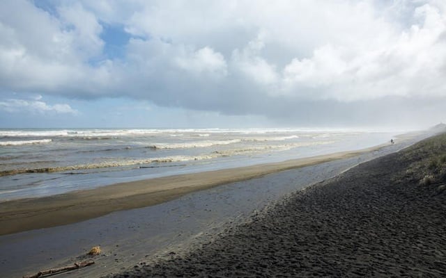 Summer holiday ban on driving on Auckland's Muriwai Beach
