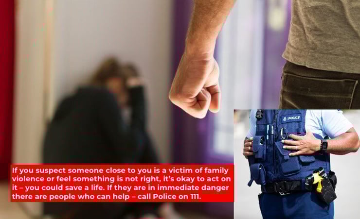 Family harm- red flags and high risk factors to be aware of