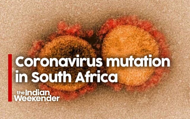 Five countries ban flights from South Africa amid concerns over new coronavirus strain