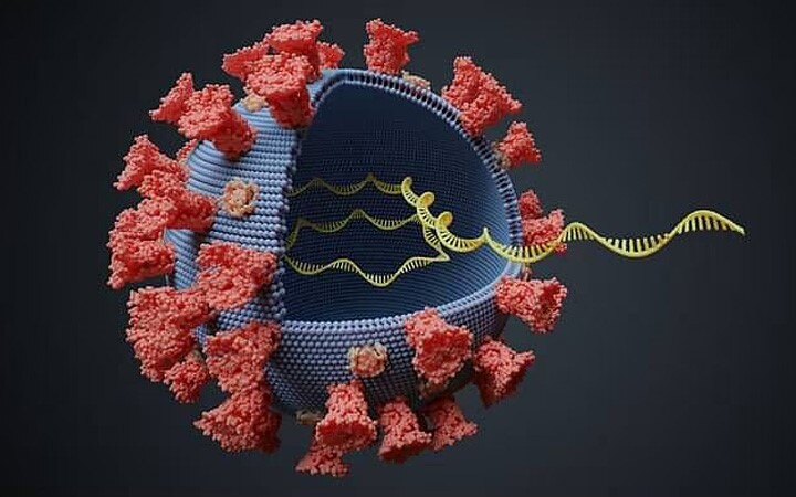 All you need to know about the new Coronavirus strain