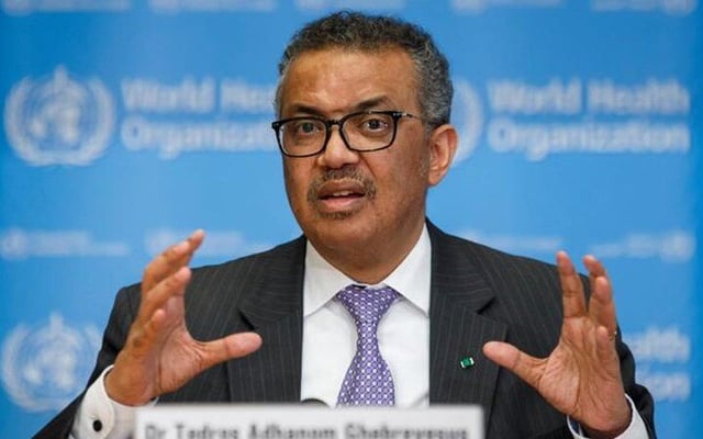 WHO team investigating Covid origins denied entry to China