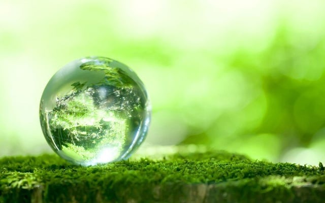 Small steps can make Earth greener