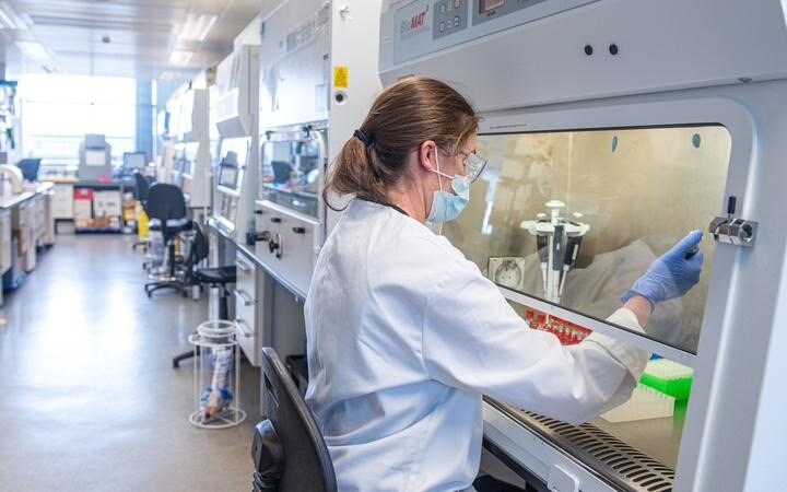 AstraZeneca-Oxford Covid-19 vaccine: Covax forecasts doses for New Zealand