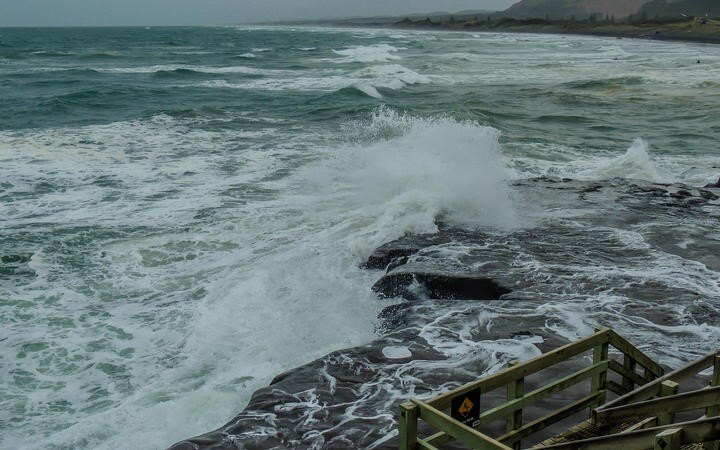 Sharks spotted at Auckland's Muriwai Beach