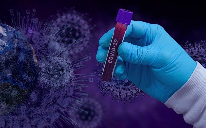 Climate change may have directly influenced emergence of Covid virus