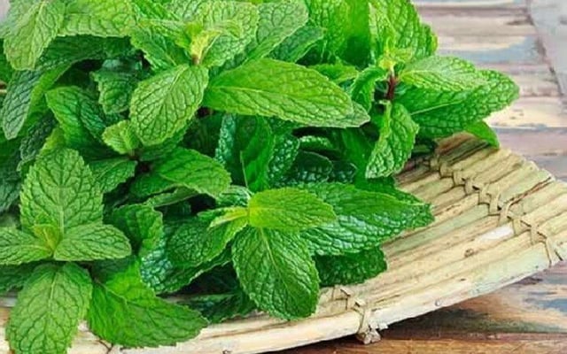 The abundant health benefits of mint leaves