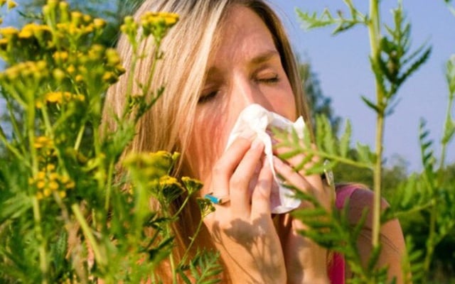 Study discusses correlation between allergy seasons, pollens