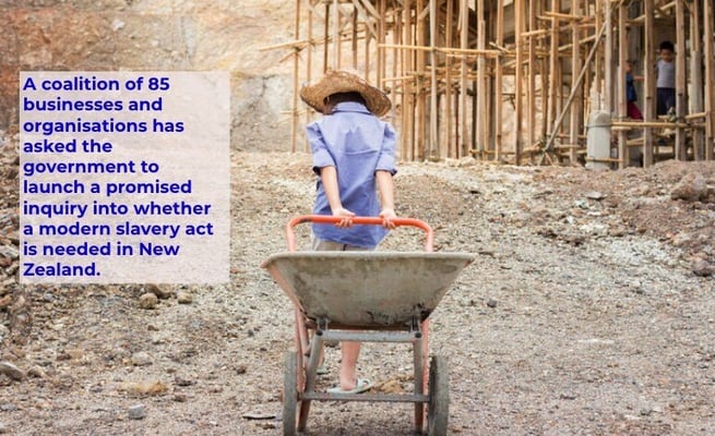 Businesses urge government to launch inquiry into modern slavery
