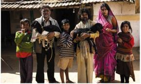 'Peepli Live' makes it to Oscars