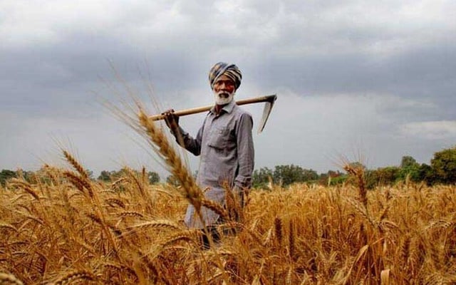 Indian agriculture: Maladies and remedies