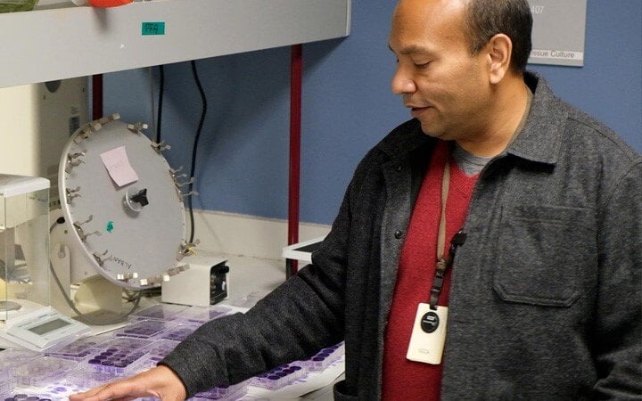 Indian-origin scientist spots genes that fight Covid infection