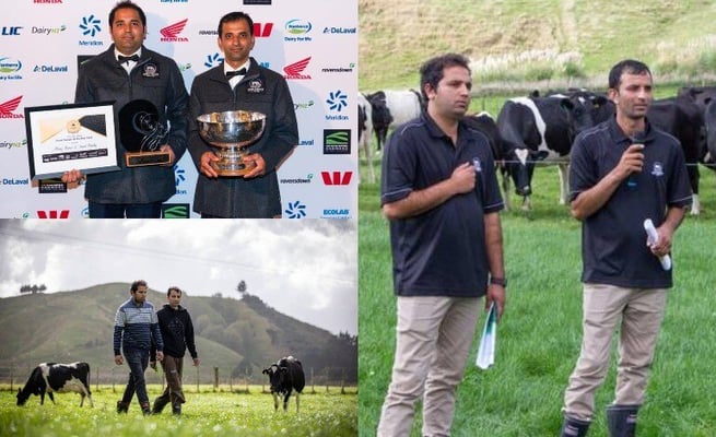 Kiwi-Indian brothers create history: Wins top NZ dairy-farming award