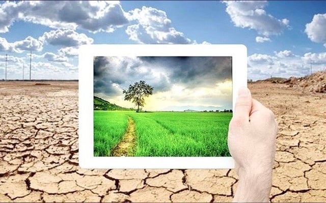 Global initiative to build more climate literate business leaders