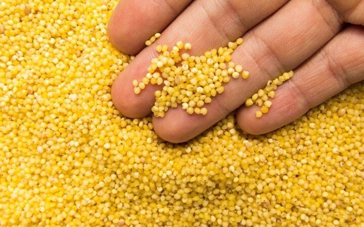 From weight loss to strong bones, health benefits of millets