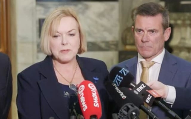 Budget 2021: 'Our focus would've been on building jobs' - National Party's Judith Collins