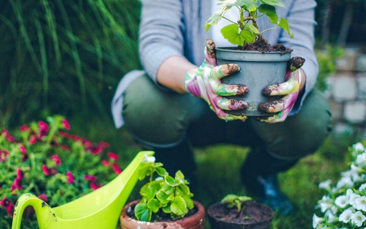 Can gardening be an effective way to fight depression?