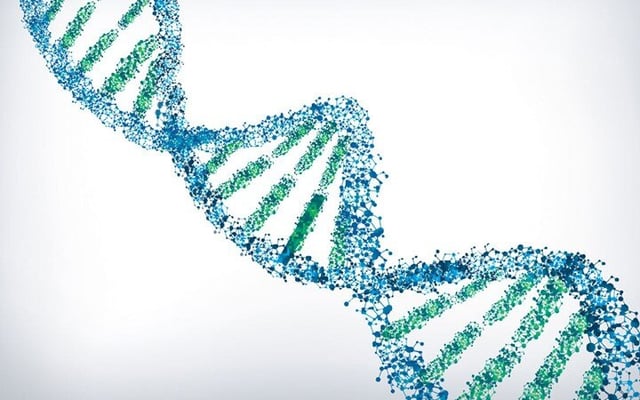 Your digital life may soon be stored on DNA data files
