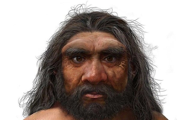 'Dragon man' fossil may be our closest relative, not Neanderthals