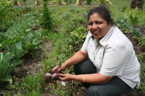 Manukau City Council Wins National Award